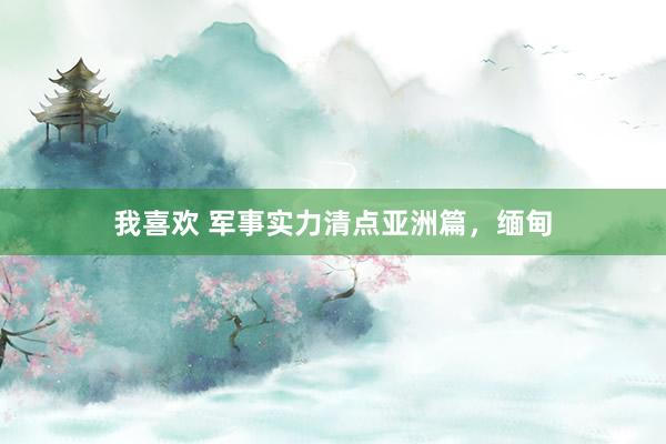 我喜欢 军事实力清点亚洲篇，缅甸