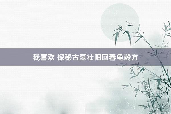 我喜欢 探秘古墓壮阳回春龟龄方